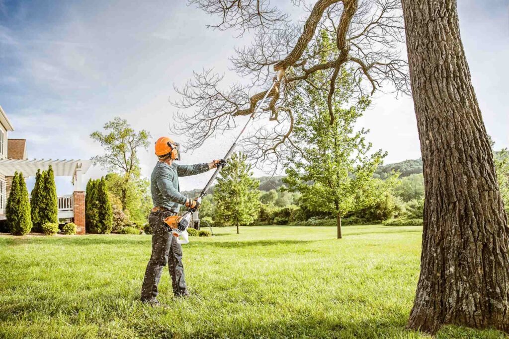 Tree Care & Removal NYC