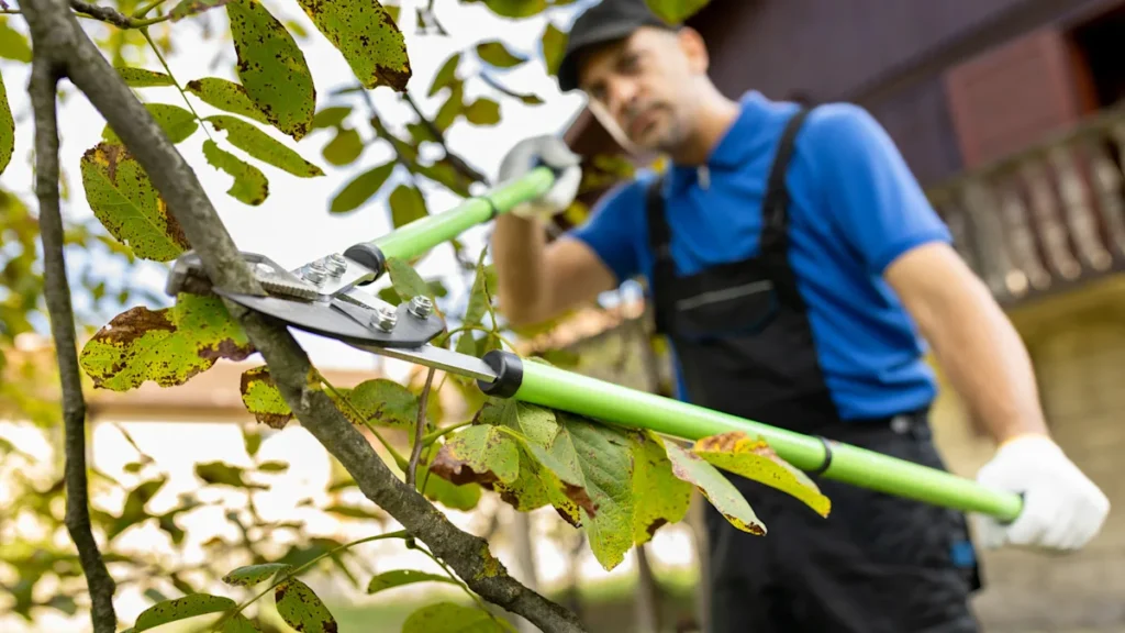 Tree Trimming Service
